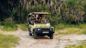 Jungle Safari Jim Corbett