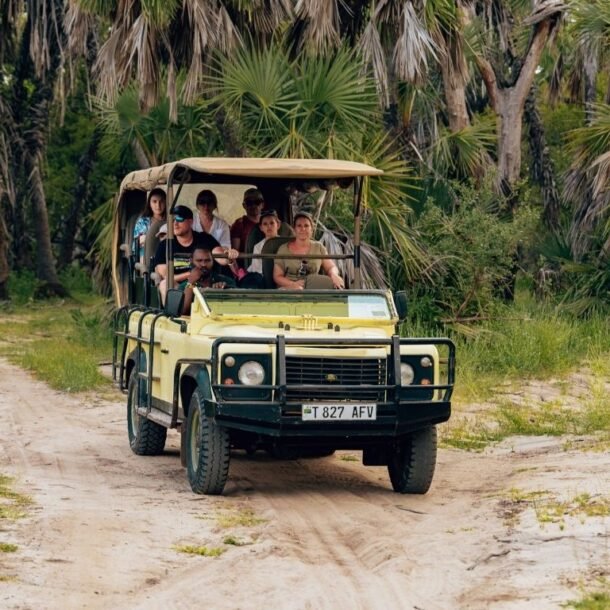 Jungle Safari Jim Corbett