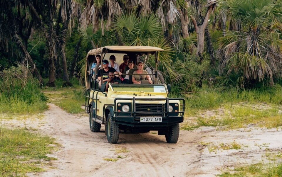 Jungle Safari Jim Corbett