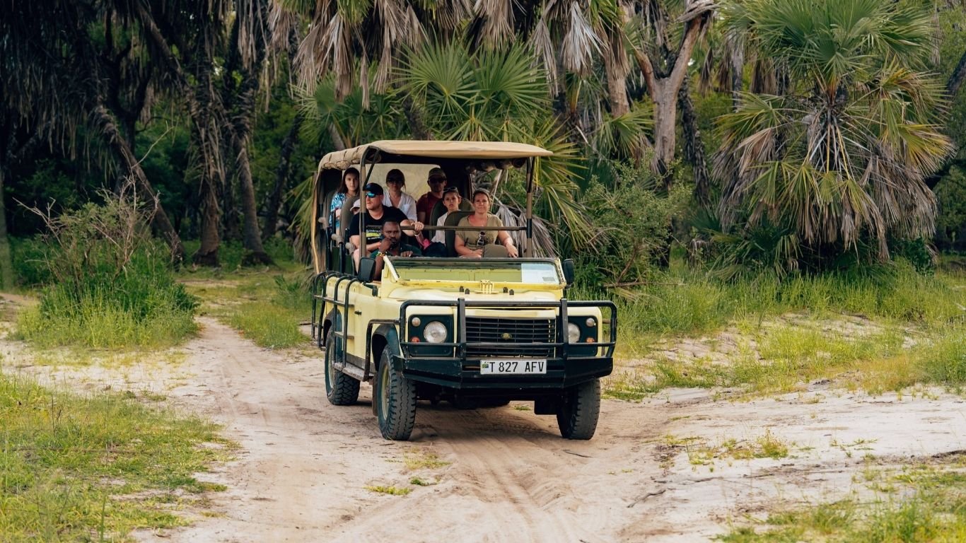 Jungle Safari Jim Corbett Guide 2026 | Safari Booking, Zones